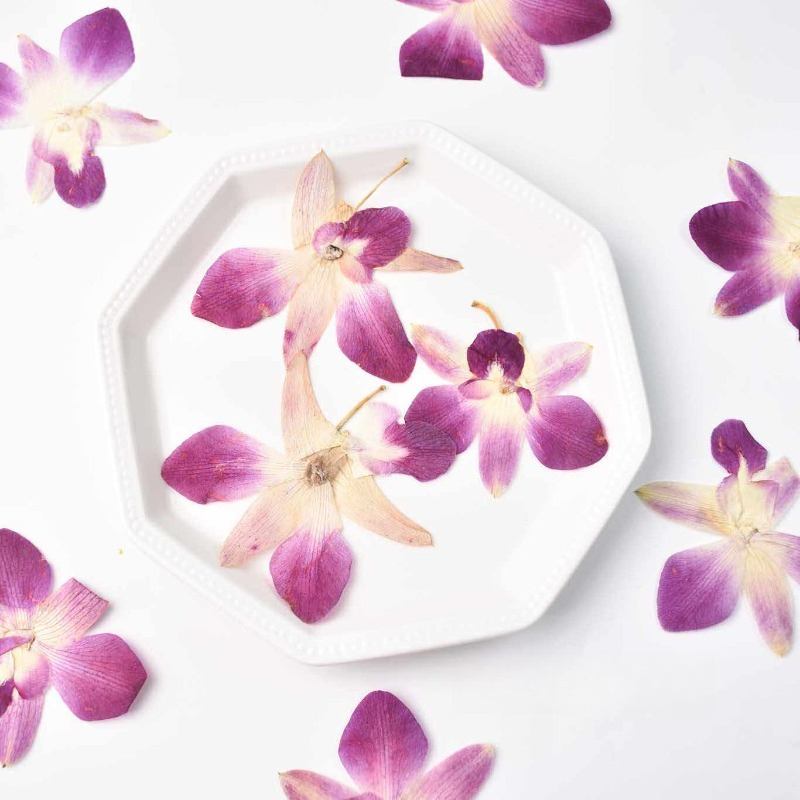Art And Craft Photos - 4 szt., Prawdziwe, prasowane kwiaty orchidei