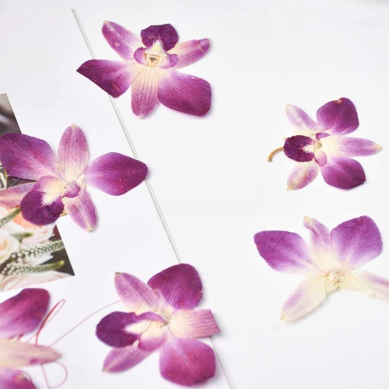 4 szt., Prawdziwe, prasowane k – Art And Craft Photos recenzja i cena