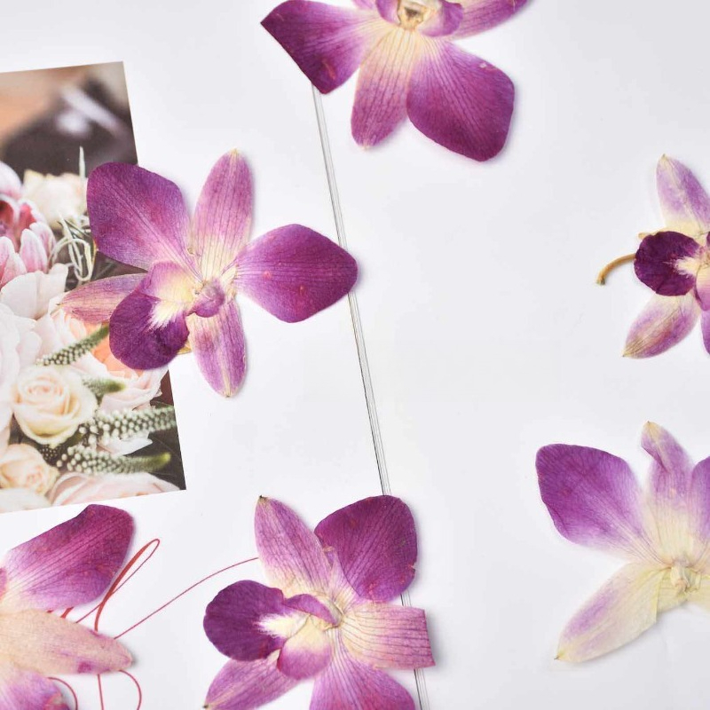 4 szt., Prawdziwe, prasowane k – Art And Craft Photos recenzja i cena